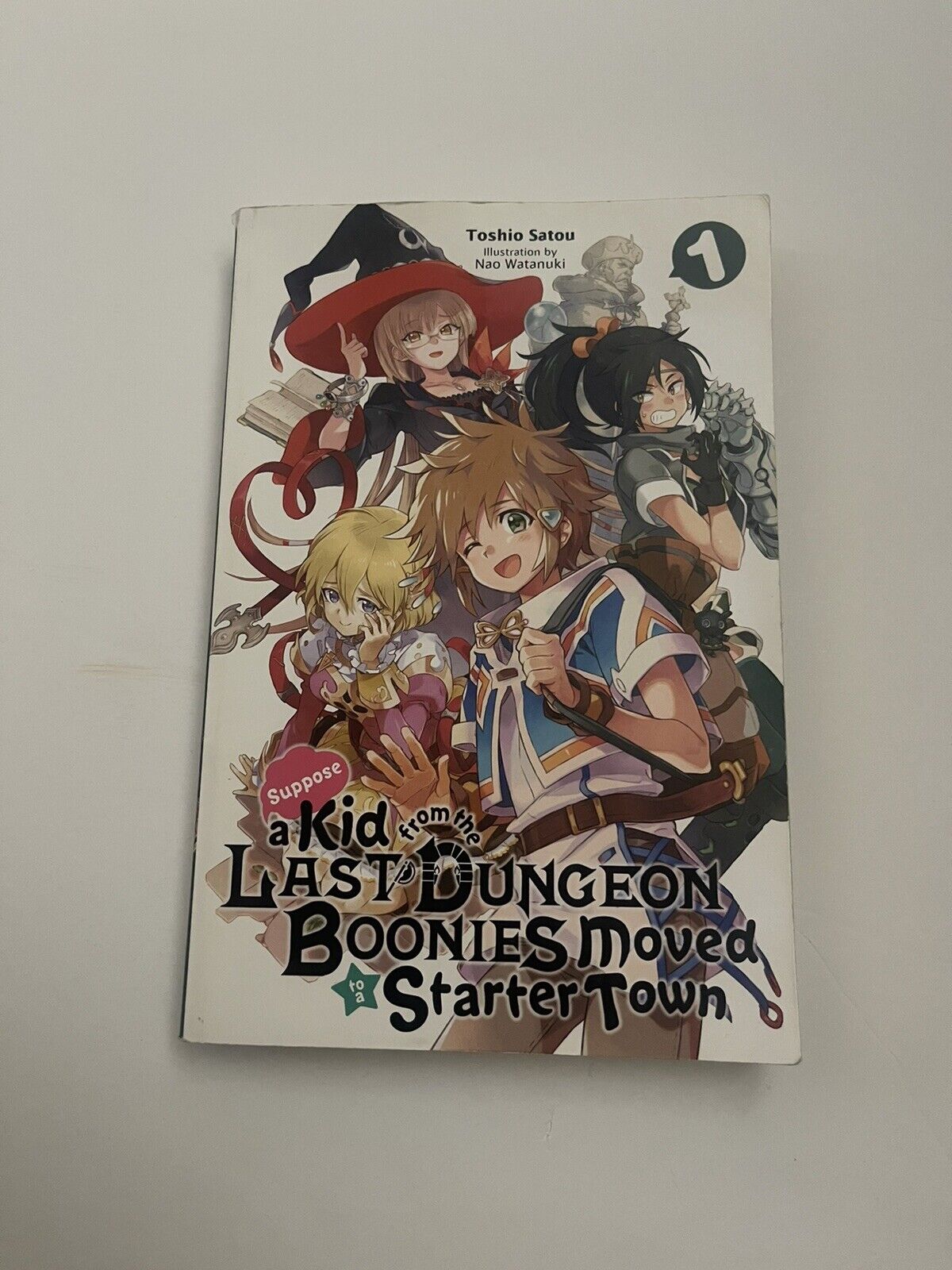 Suppose a Kid from the Last Dungeon Boonies Moved to a Starter Town, Vol.  13 (light novel)