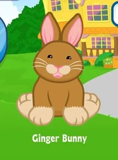 Webkinz Classic Ginger Bunny Adoption Code Only Messaged