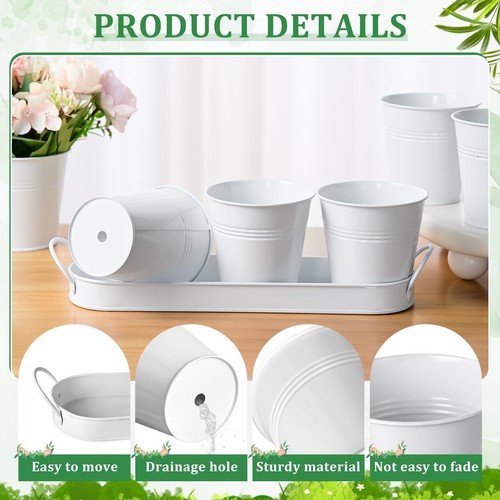 6 Sets Indoor Herb Garden Planter Metal Windowsill Plant Herb Pots with Drain... - Picture 3 of 7