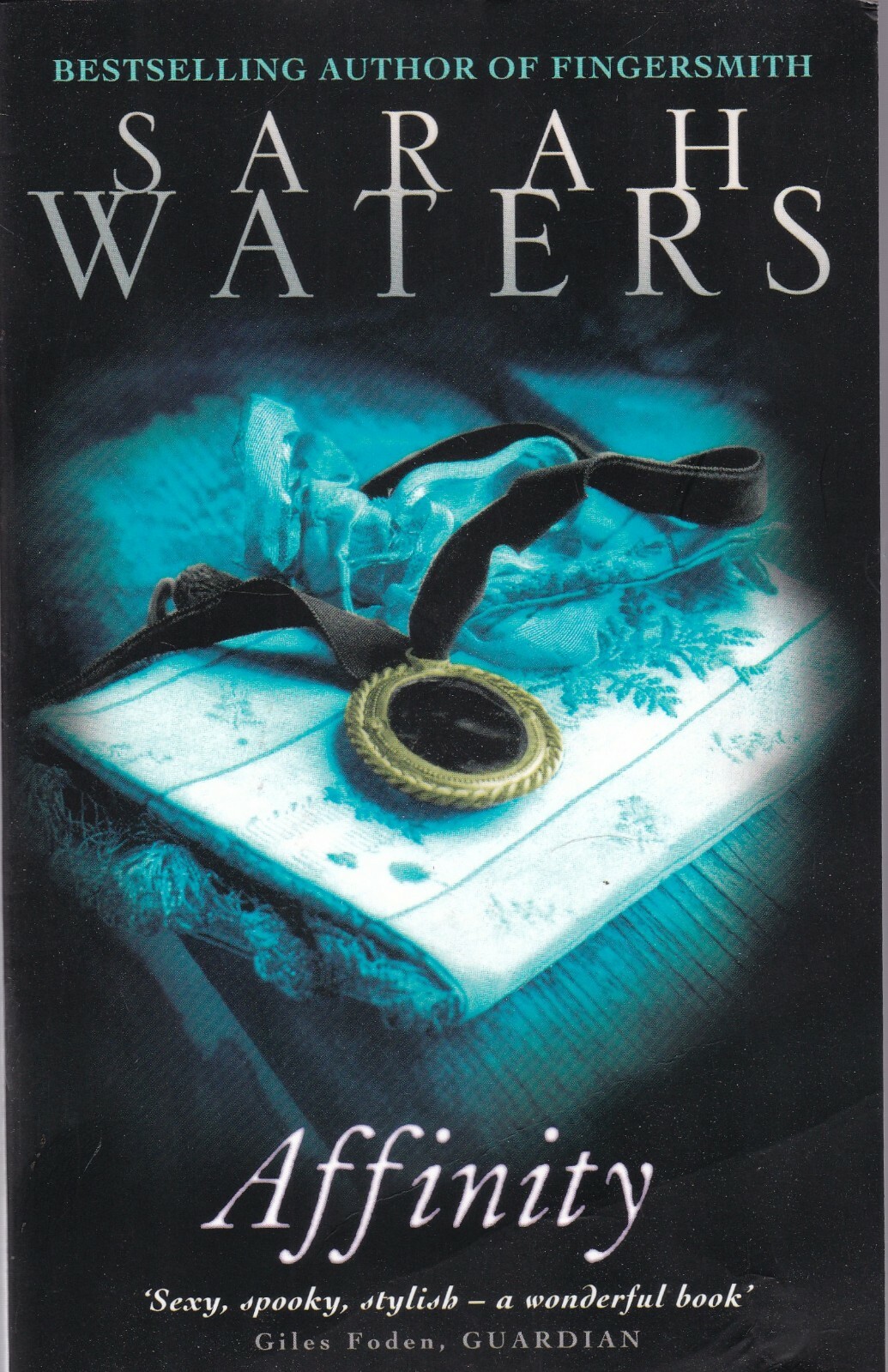 Affinity by Sarah Waters (Paperback) Book