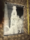 Picture 5 of 11