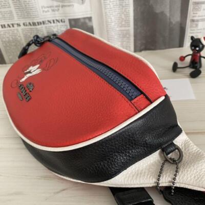 Limited Coach x ,Disney Collaboration Mickey Mouse Vale Belt Body