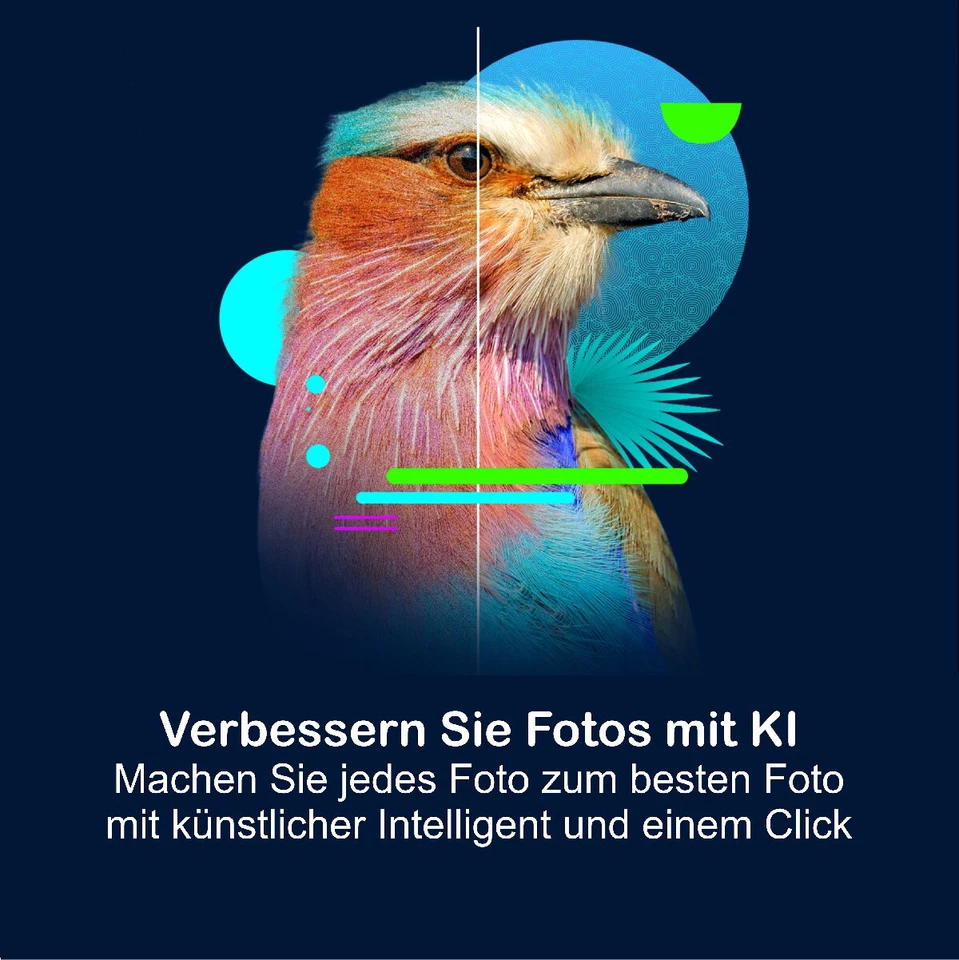 Corel PaintShop Pro 2023 Ultimate Vollversion Win Dauerlizenz Download NEU - Bild 4 von 4