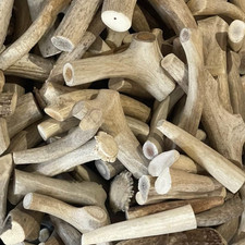 1 Pound Budget Whole Elk  Deer Antler Dog Chew Mix-Med/Large -4 to 5 Pieces