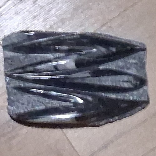 Polished Nautiloid Fossil Specimen Elongated Segmented Structure Visible Shells