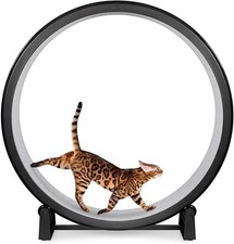 One Fast Cat Exercise Wheel - Gen 7 - 48" Diameter - Black w/ Gray Felt Pads