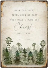 Tin Metal Signs Home Décor 8x12 CT Studd Quote Only One Life Only What's Done fo