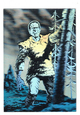 1993 BERNIE WRIGHTSON MASTER OF THE MACABRE PROMO HOLO LP Visit My eBay Store