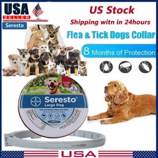 bayer foresto collar