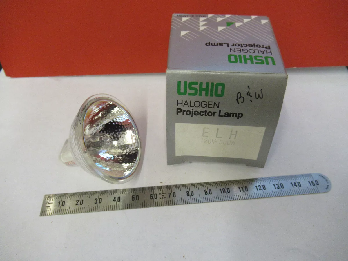 120v 300w halogen bulb deals
