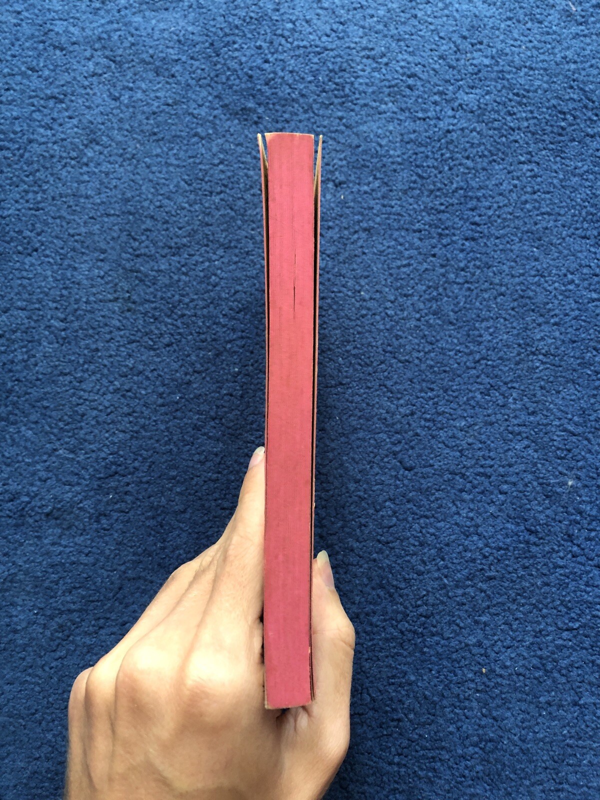 Picture 4 of 12