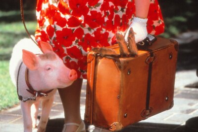 Filmdia Babe pig in the city Slide KB-format L54-2-4