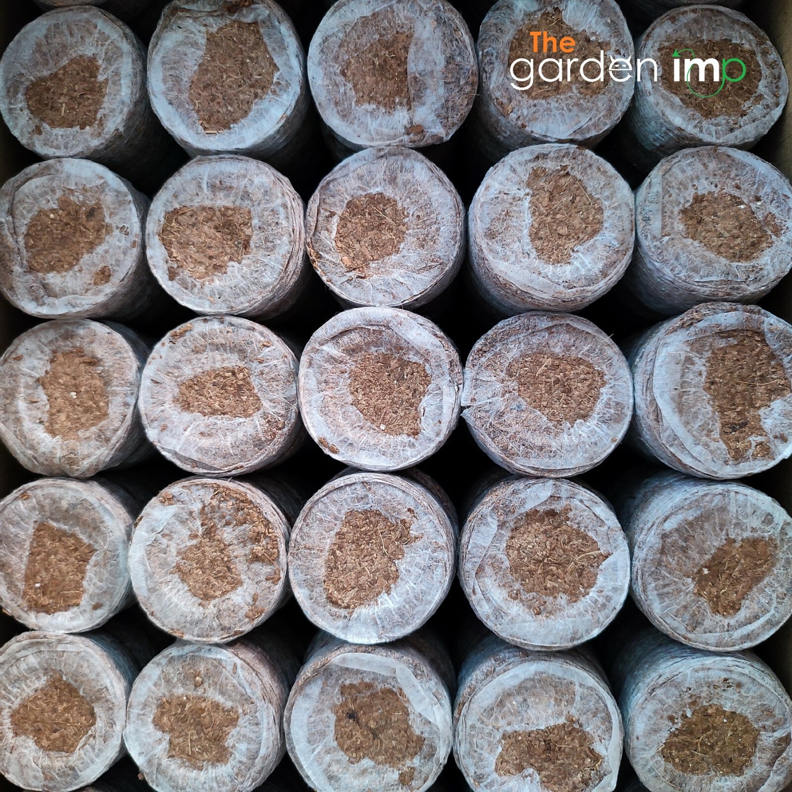 Jiffy 7C Pellets Coir Coco Propagation Plug Seeds Hydroponic Large 50mm