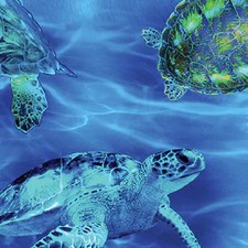 Sea Turtle Haven 108" Wide backing 12538W-55
