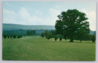 Capon Springs WV Golf Course Vintage Postcard Ben Cooper Resort Landscape