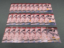 2020-21 Mikhail Berdin Young Guns LOT (26) + 1 YG Silver #242 Rookie RC Bulk