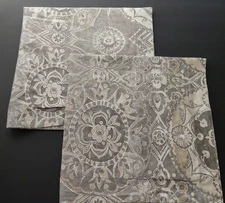 2 Pottery Barn Pillow Shams 26X26 Jacquelyn Medallion Watercolor Gray Beige Euro