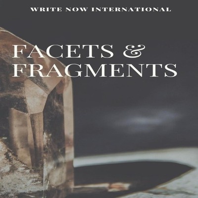 Facets and Fragments Raj Moorjani Paperback Amazon Digital Servic