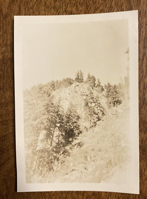 1946 Woods Near Mt. Rainier Shadow Lake Washington WA Trees Real Photo P3j26