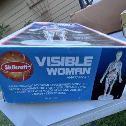 Skilcraft Kit Anatomia Donna Visibile Modello Anatomico con Scheletro, Organi - Foto 2 di 5