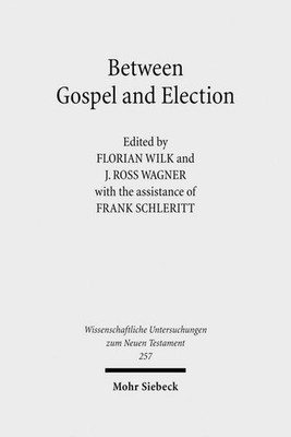 Between Gospel and Election: Explorations in the Interpretation of Romans 9