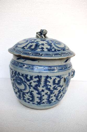 Antique Chinese Tao Kwang Ginger Jar Blue & White 19Th Century Cover Lid Fu Dog" - Picture 1 of 10
