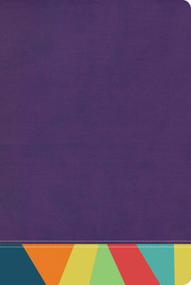 Reina Valera 1960 Biblia De Estudio Arcoíris, Morado/Multicolor | RVR 1960 Rainb