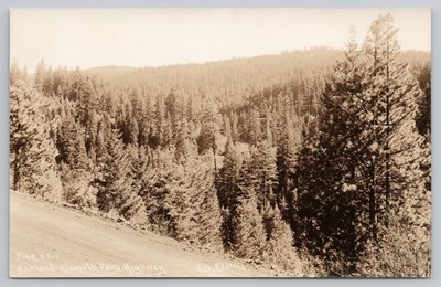 Pine And Fir Ashland Klamath Falls Highway Oregon Patterson RPPC Postcard