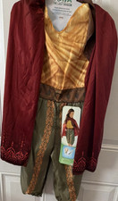 Jakks Disney Raya and the Last Dragon Adventure Outfit Costume Size 4-6X