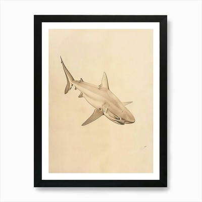 Phoebefy A Pencil Crayon Zeichnung von gerahmtem Wandbild Poster Leinwanddruck Bild