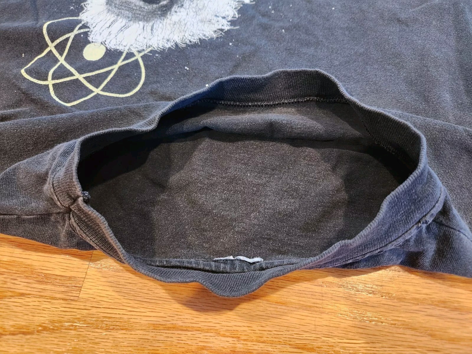 Albert Einstein Smithsonian Institution Shirt 199… - image 23