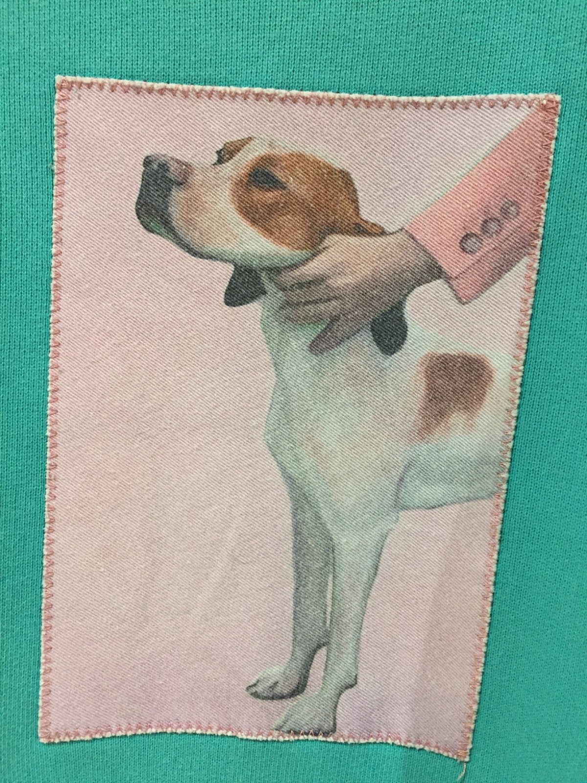 Rare ACNE STUDIOS Dog-Patch Turquoise Cotton Sweatshirt Unisex Size M image 3