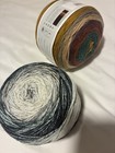 Lion Brand Mandala Ombre 525 Warlock Multicolor DK Acrylic Yarn Cake Lot of 2 — photo 7