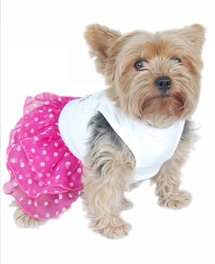 Anima Elegant Polka Dot Pearls & Pendant Dog Dresses eBay