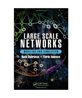 Large Scale Networks, Radu Dobrescu