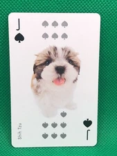 Shih Tzu Spade J THE DOG Playing card  Artlist Collection Japan