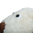 Picture 5 of 7