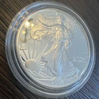 PROOF American Silver Eagle with Case - 1 oz .999 Silver Verified - 2004 - Lot B
