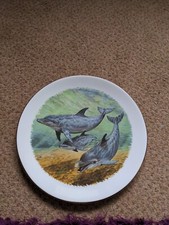 New crochendry Home Craft Dolphin plate fine bone China From Wales Gift 9.99p 