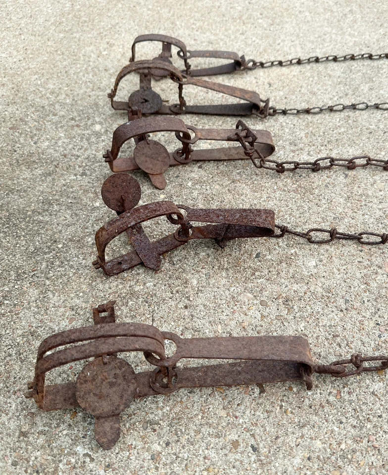 Lot 5 Rusty Small Animal Leg Traps Texas Barn Find Rustic Decor - Image 2 of 2