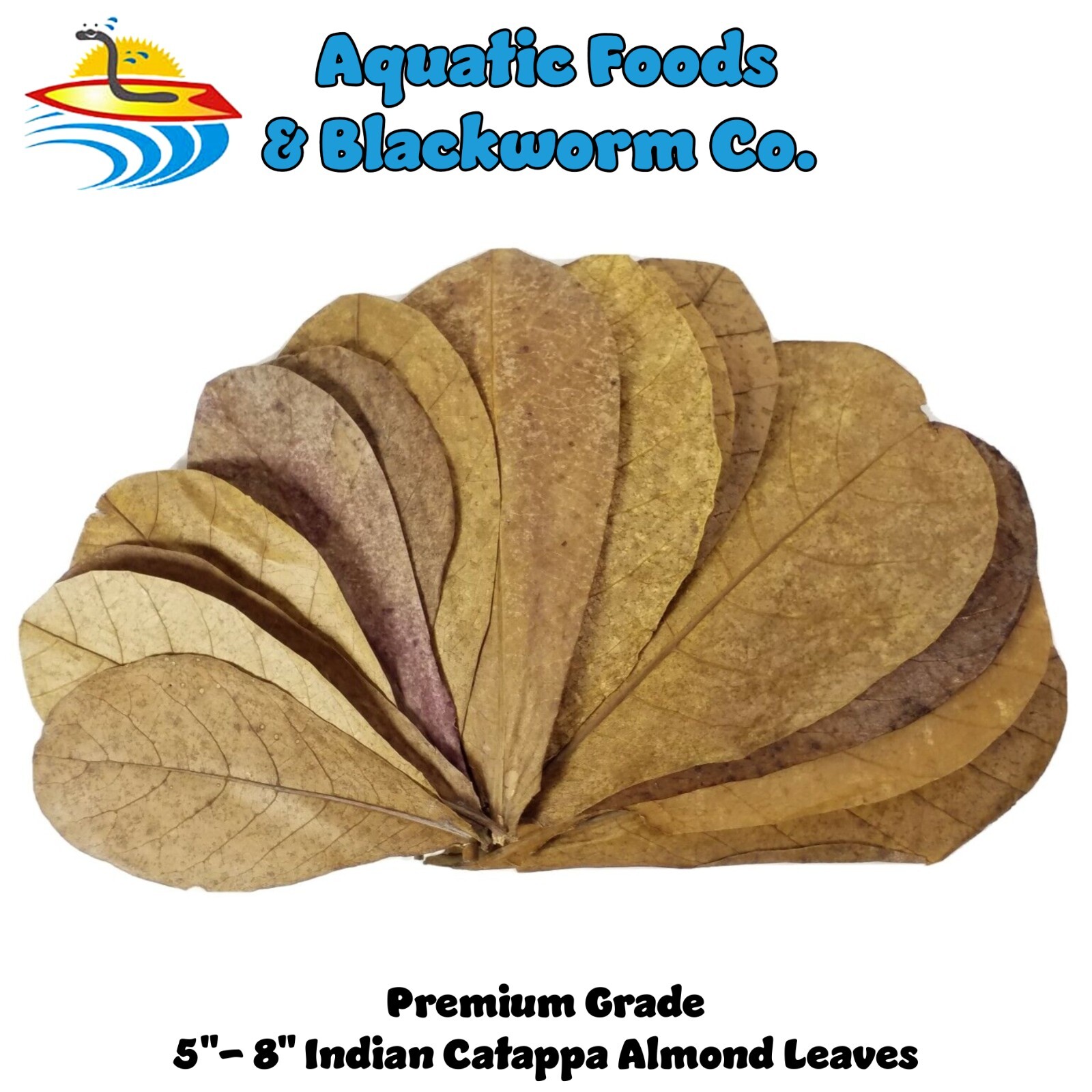 200 leaves, 5"-8" Indian Catappa Almond Leaves, Tannin Rich,