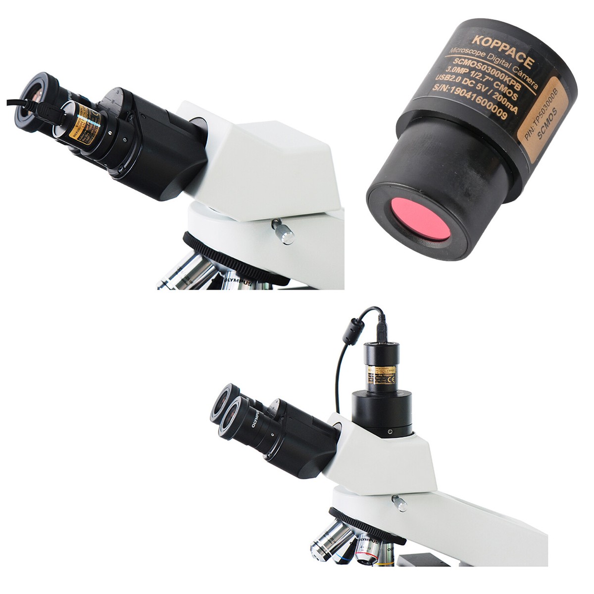 Hobby Microscope Camera Swiftcam 20 Megapixel Camera For Microscopes ...
