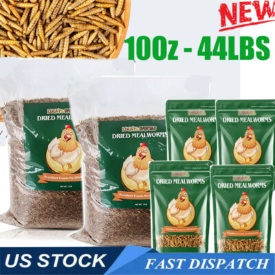 Non-GMO Bulk Dried Mealworms Fit Birds Chickens Wild Blue Bird Reptile 11LBS LOT
