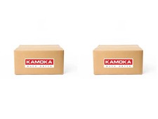 Amortisseur Renault AVANTIME