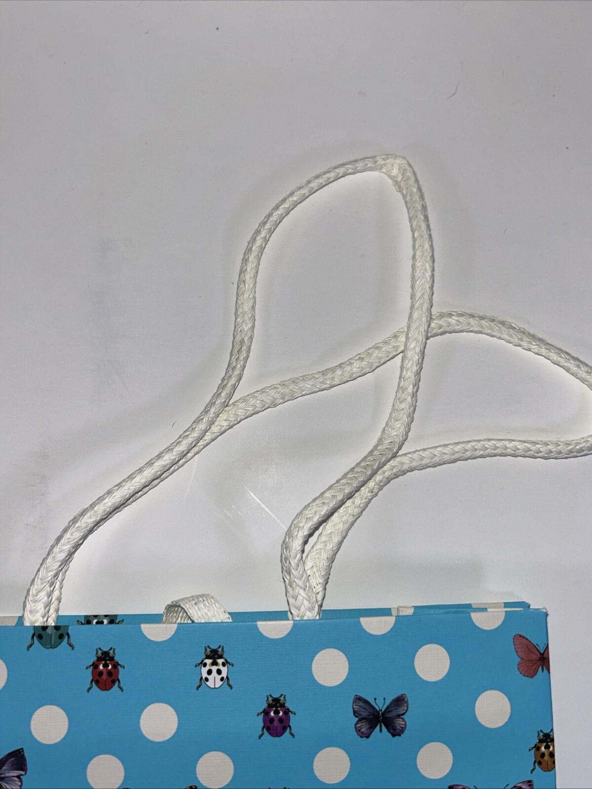 Picture 7 of 20