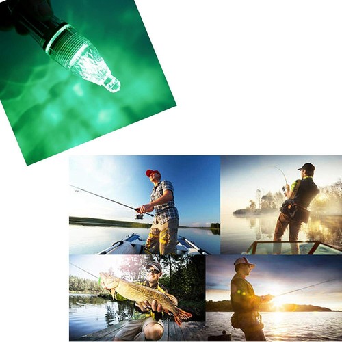 10X Lampada Luce Pesca Led Impermeabile Subacquea Blu Verde Calamari Subacqueo Flash - Foto 10 di 21