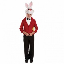 Kids Mister White Rabbit Alice In Wonderland Fancy Dress Costume