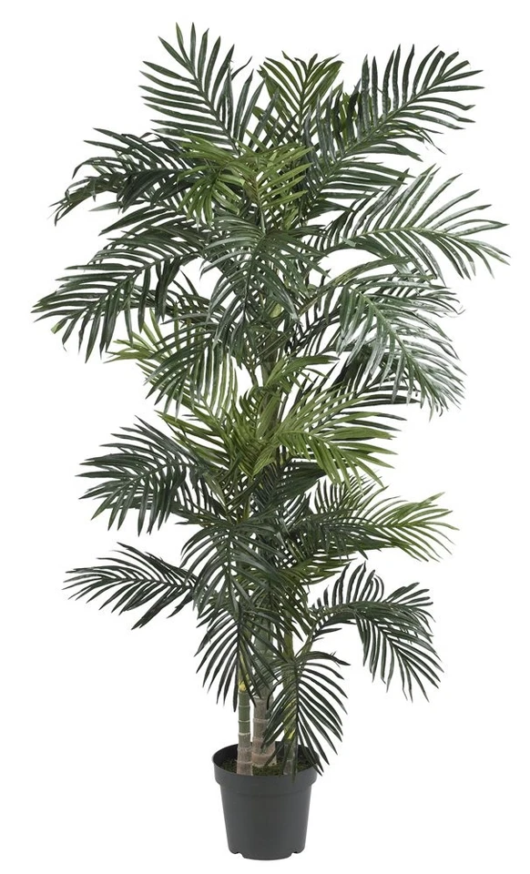 Árbol de seda palmera caña dorada casi natural de 6,5 pies y Dieffenbachia dorada de 45 pulgadas con P Foto 3 de 4