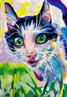 Original Painting ACEO colorful cat, tuxedo cat, black and white cat, small art — photo 1