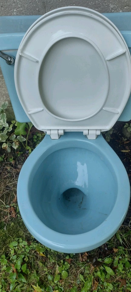 Inodoro y lavabo richmond azul de colección años 80 ¡limpio listo para instalar! ¡Excelente estado! Foto 2 de 4